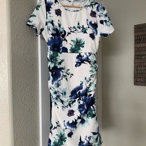 Pinkblush Maternity Dress